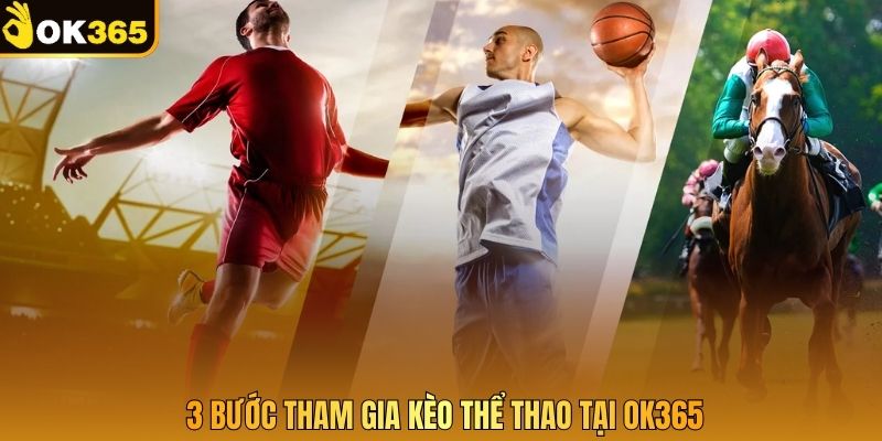 3 bước tham gia kèo thể thao tại OK365