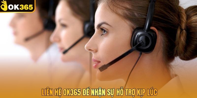 Liên hệ OK365 để nhận sự hỗ trợ kịp lúc